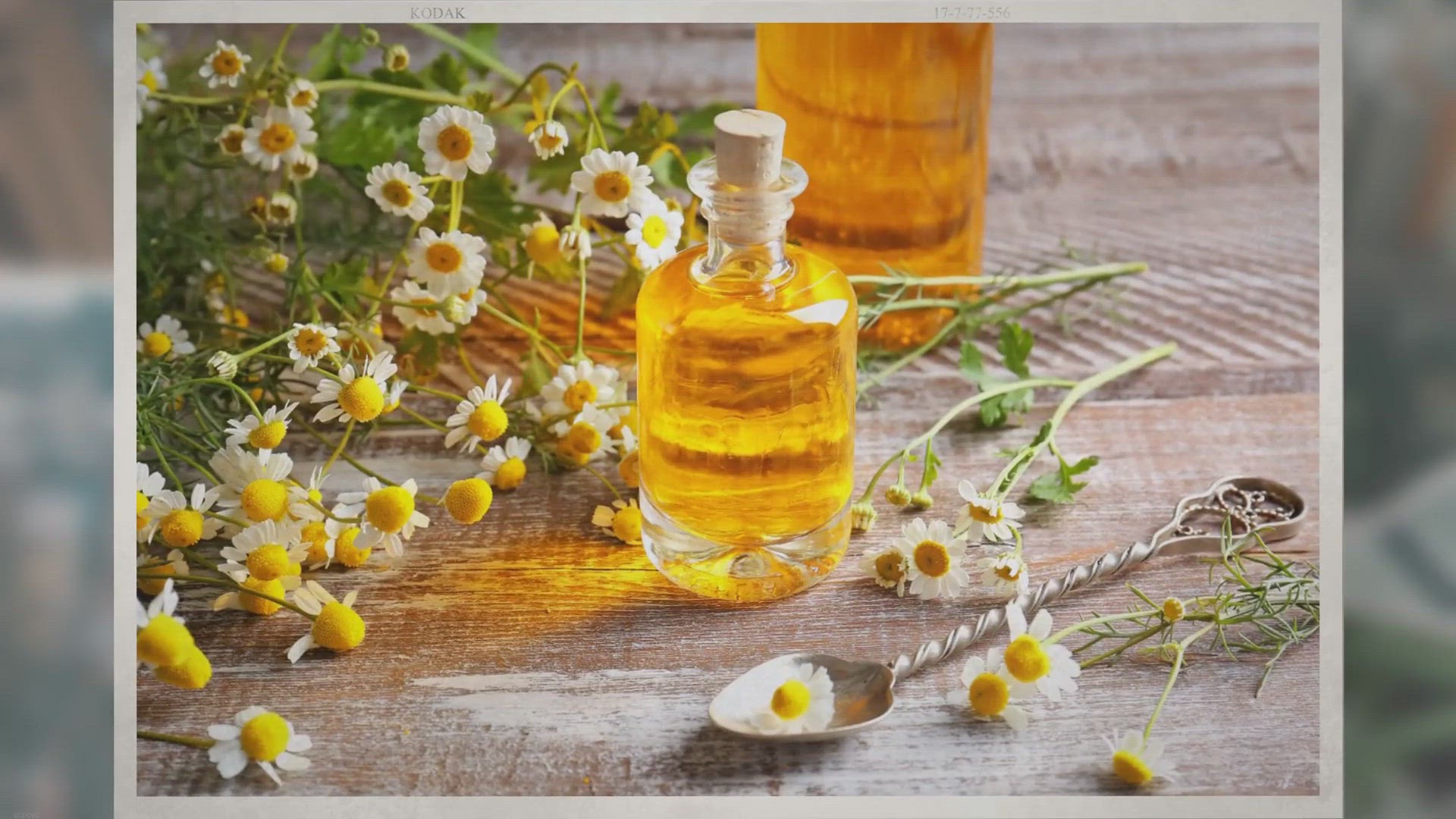 Video thumbnail for Benefícios dos Óleos Essenciais