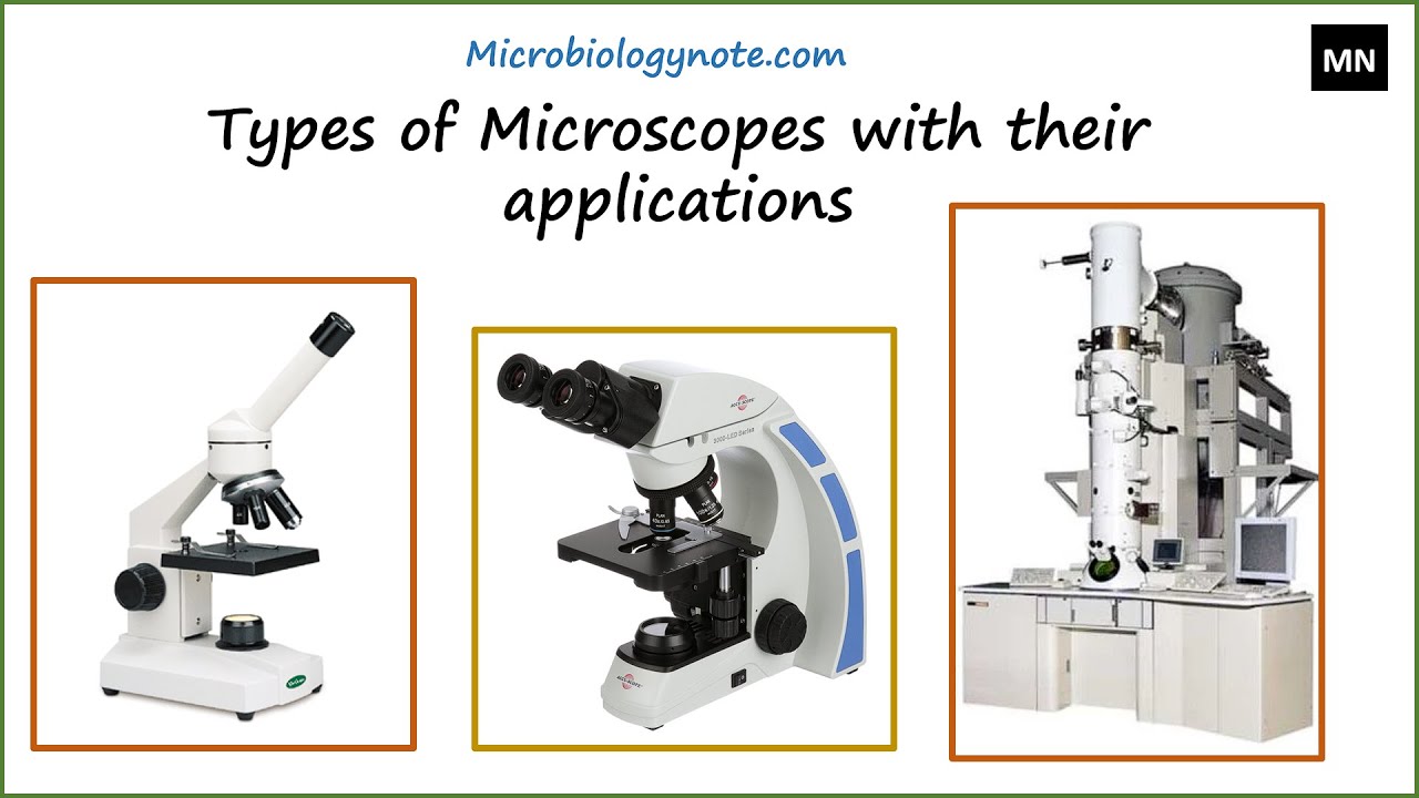 'Video thumbnail for Types of Microscope and their Functions'