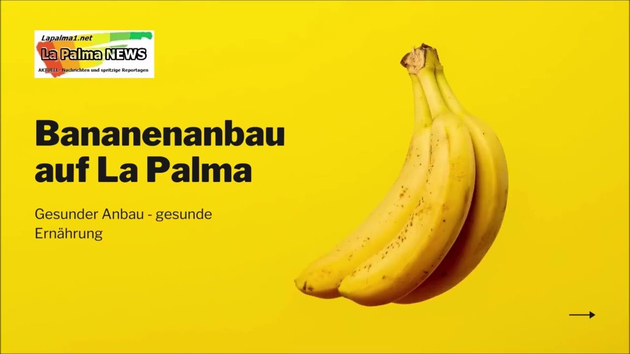 'Video thumbnail for Bananenanbau auf La Palma'
