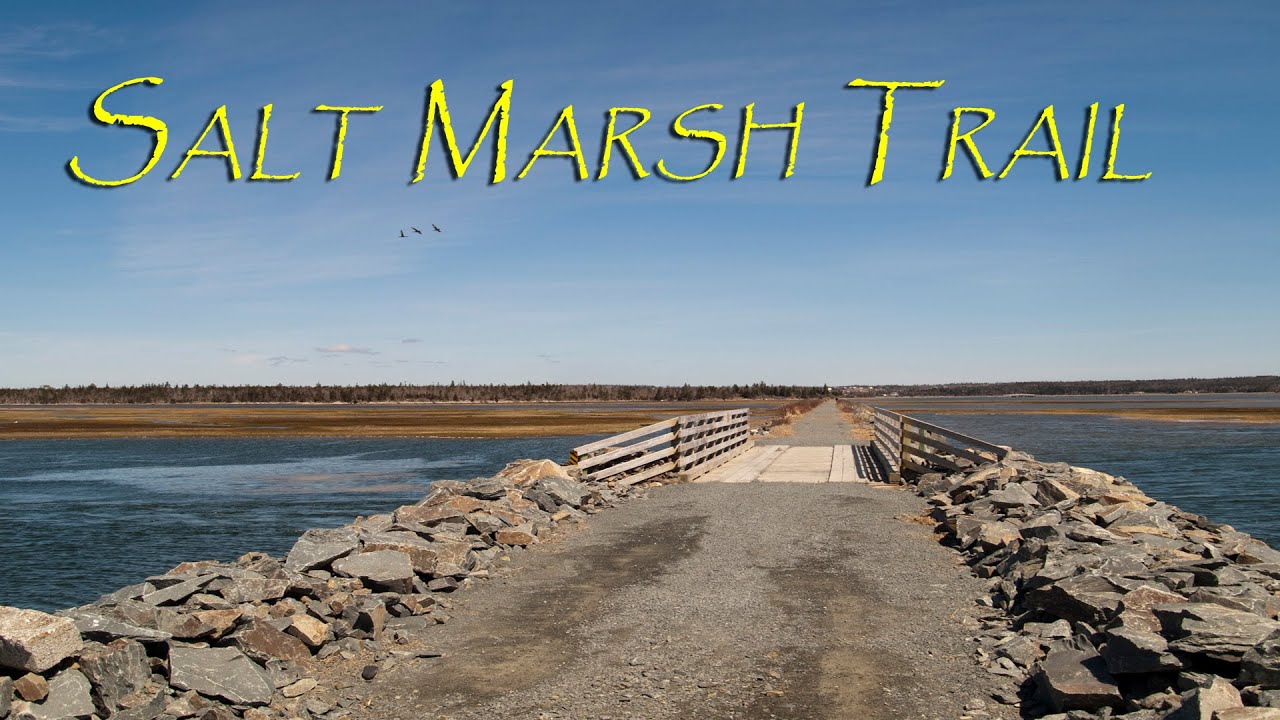 'Video thumbnail for Salt Marsh Trail. Cole Harbour, Nova Scotia'