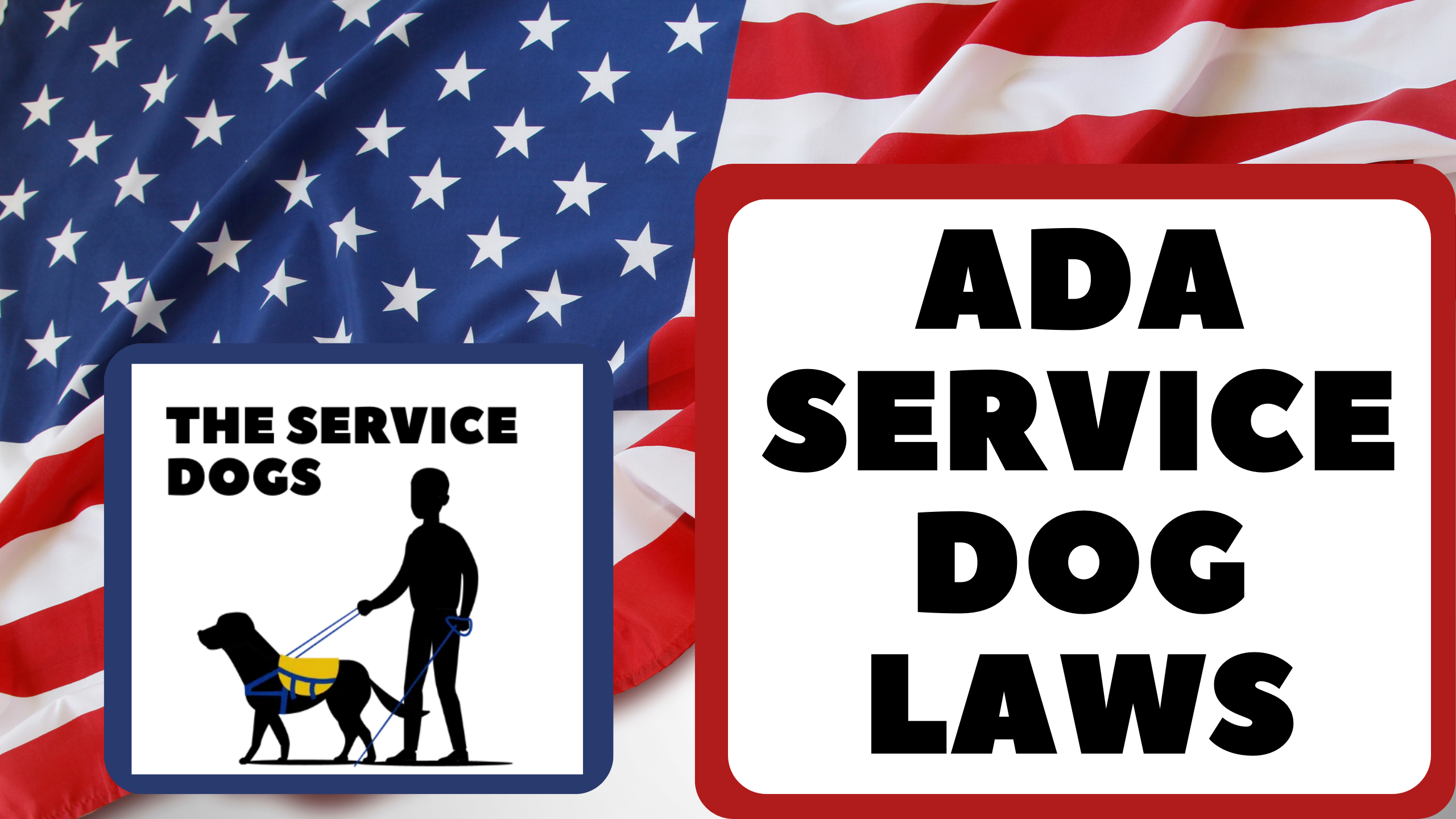 Video thumbnail for ADA Federal Service Dog Laws