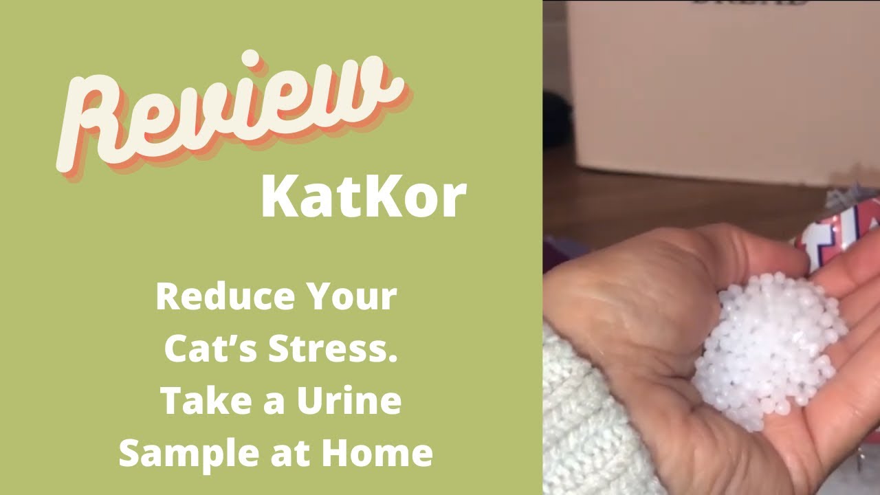 'Video thumbnail for How to Use Katkor Home Urine Kit . How to Stop Your Cat Getting Stressed With Vet Visits. Under £3'
