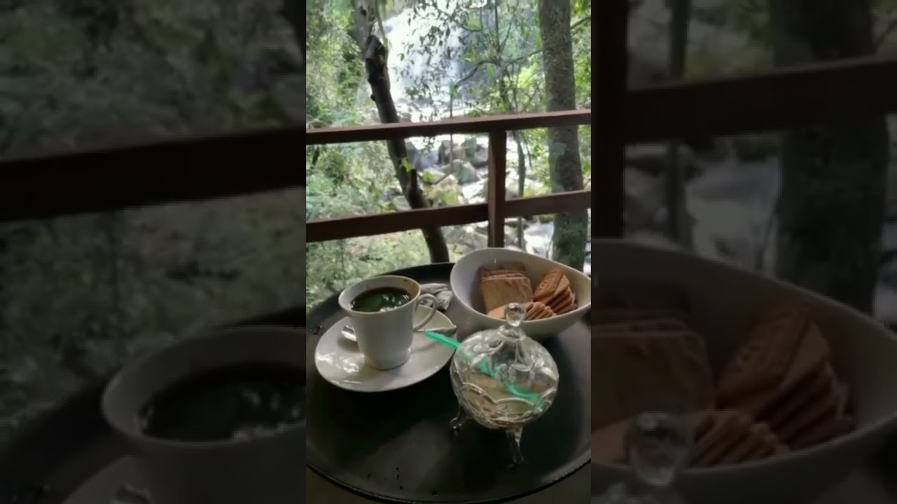 Video thumbnail for Coffee with a waterfall view | Knuckles Mountain Range |Treehouse Cottage In Sri Lanka #shorts