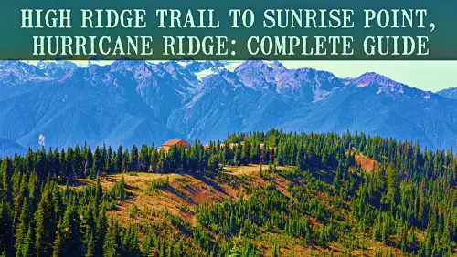 'Video thumbnail for High Ridge Trail to Sunrise Point, Hurricane Ridge: Complete Guide'
