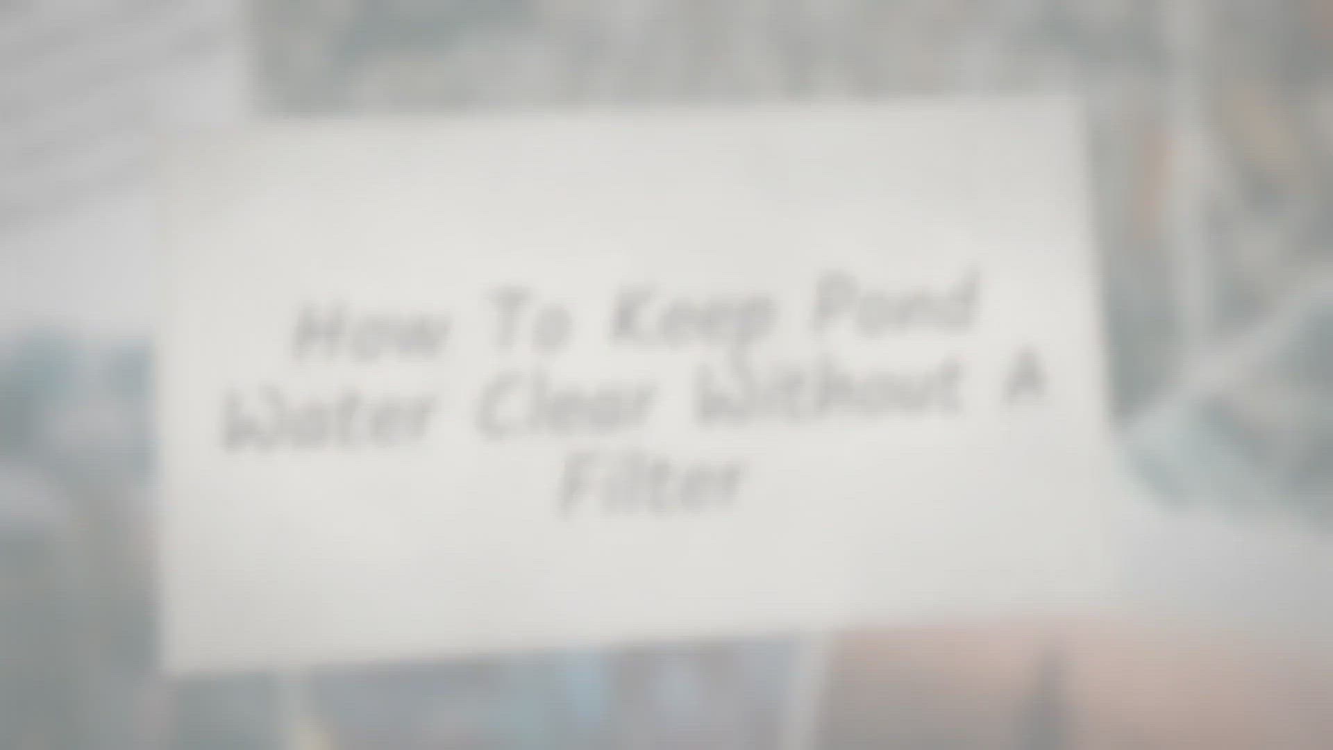 Video thumbnail for How to Keep a Pond Clean Without a Filter (5 Simple Steps)