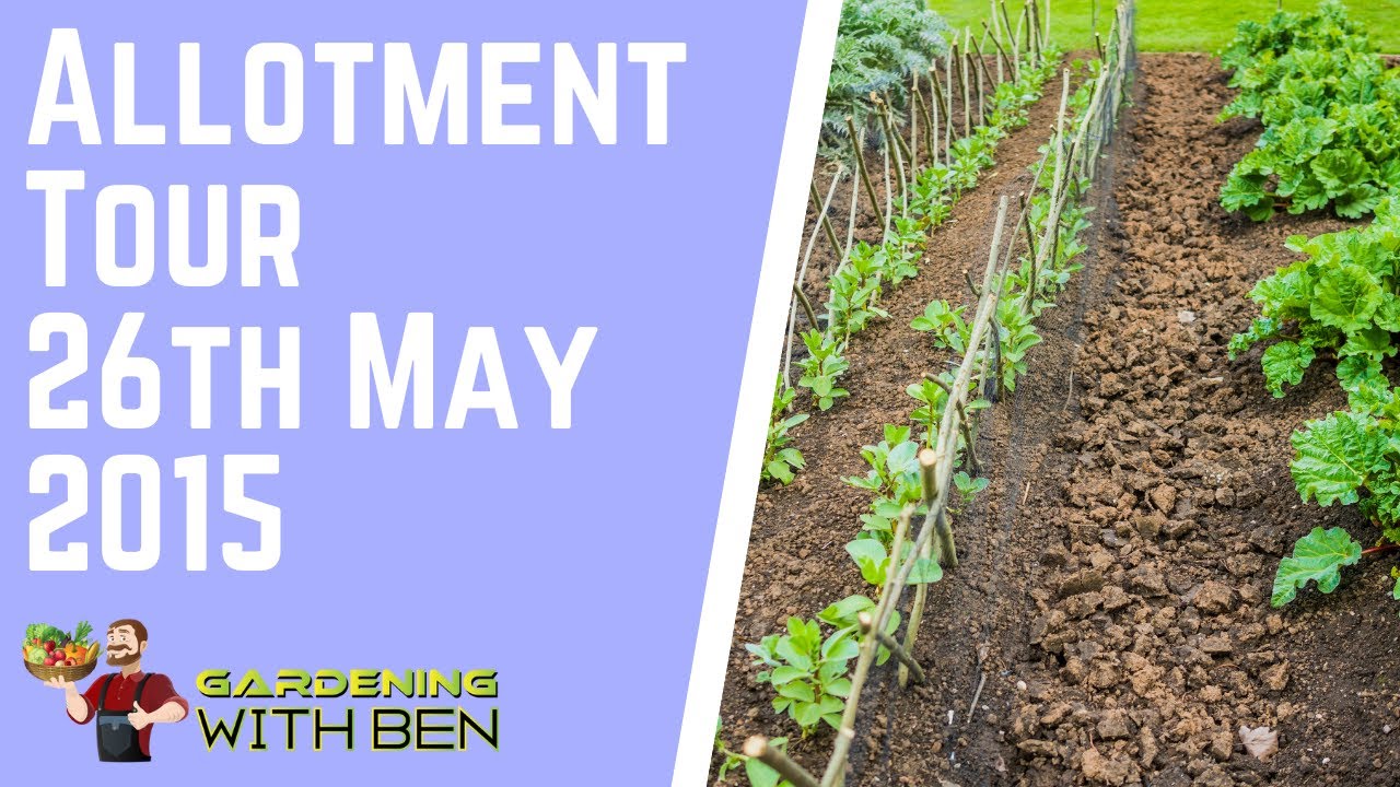 Video thumbnail for 🎥 ✅ May 26th Allotment Tour 🌿🌼 | Exploring Garden Growth & Spring Progress 2015 🌱✨