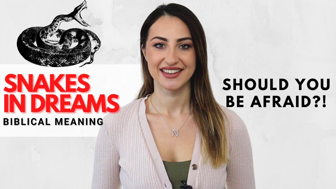 Video thumbnail for Dreams About Snakes - Should You Be Afraid?!