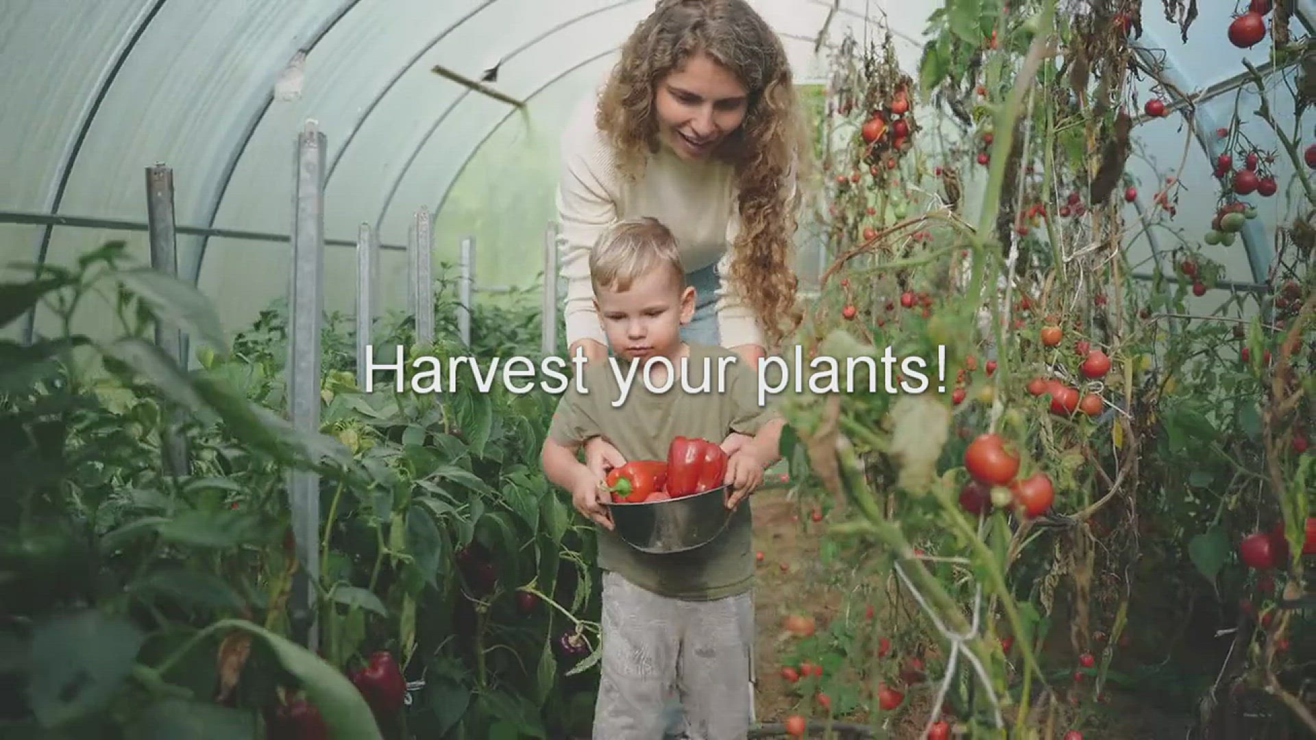 Video thumbnail for Harvest your plants!