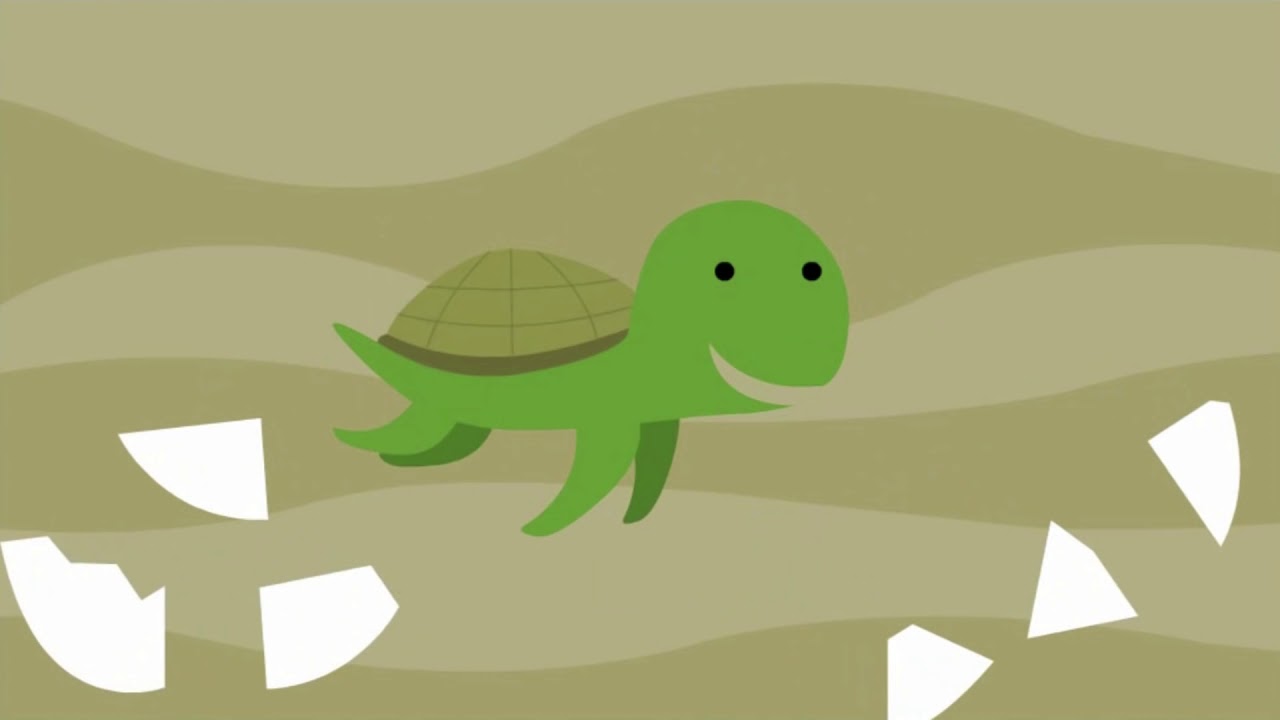 Video thumbnail for EL BUHO BOO - Huevo