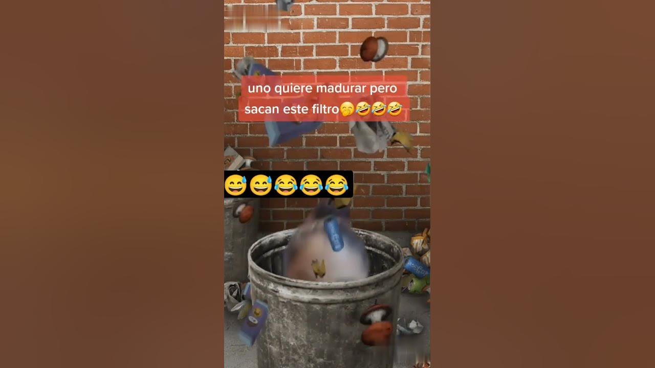 'Video thumbnail for #unoqueriendomadurar🤣😂 #ysacanestefiltro🤣 #Shorts😜😜😜 #otrogato🐱'
