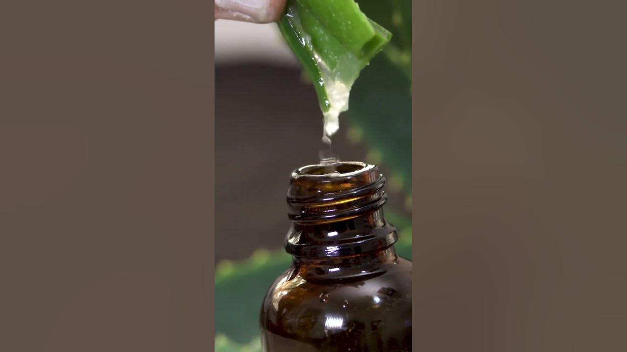 'Video thumbnail for 3 Benefits of Aloe Vera for the Stomach and Gut #shorts'
