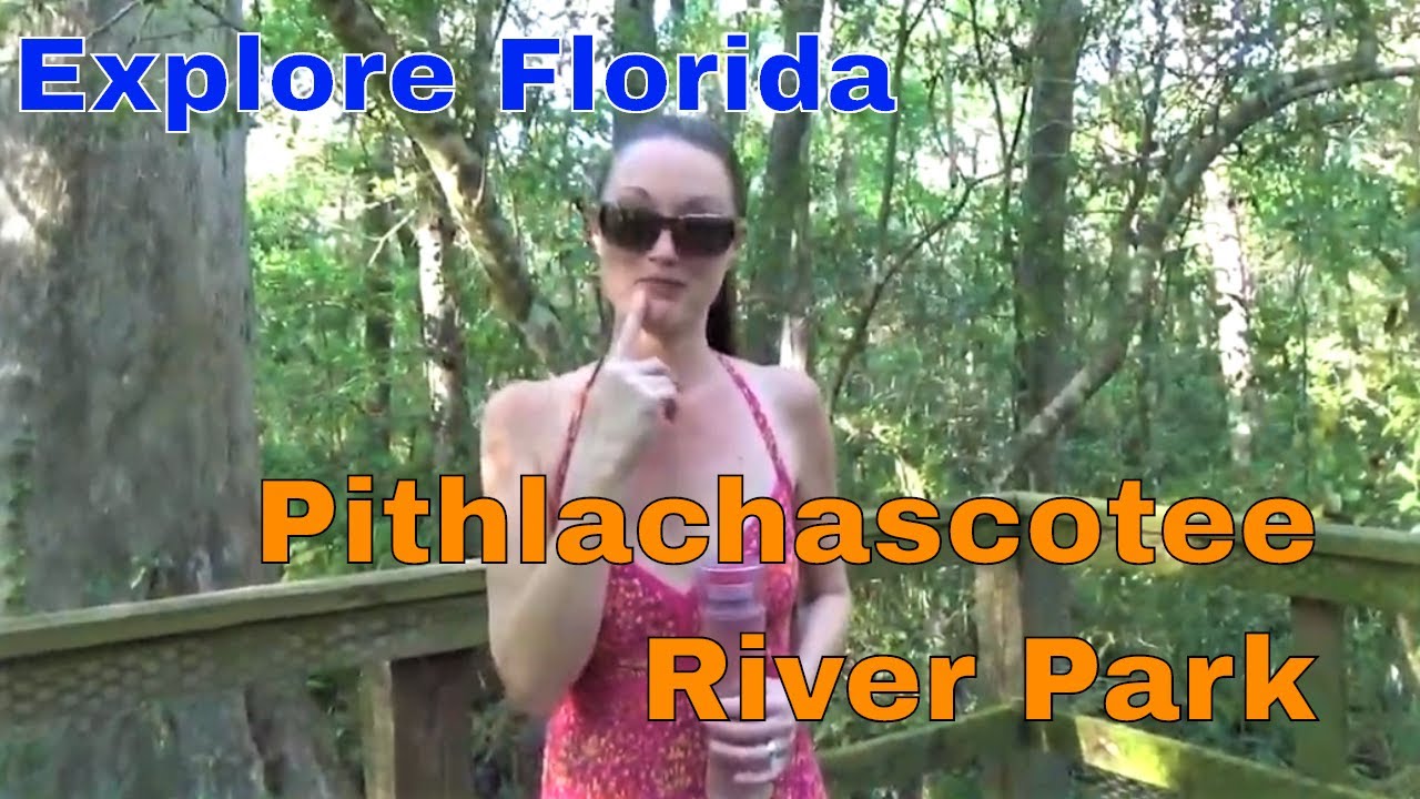 Video thumbnail for Beautiful Boardwalks Upper Pithlachascotee River Preserve S01-E07 || Explore Florida