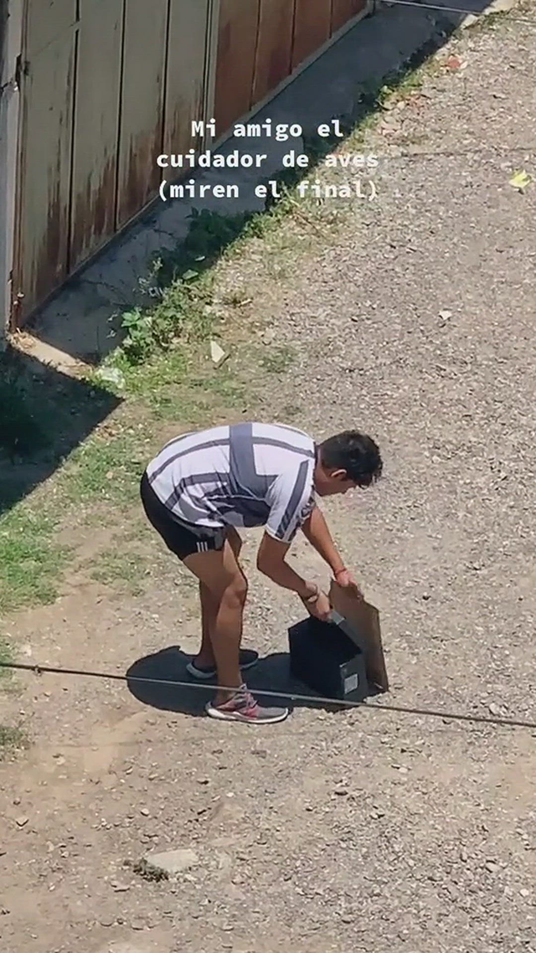 Video thumbnail for Joven intenta salvar a ave herida pero fue cazada por un michi