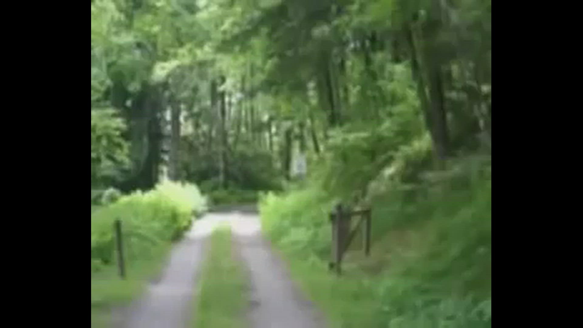 'Video thumbnail for Jeep Off Roading At Balsam Mountain - Tennessee / North Carolina'