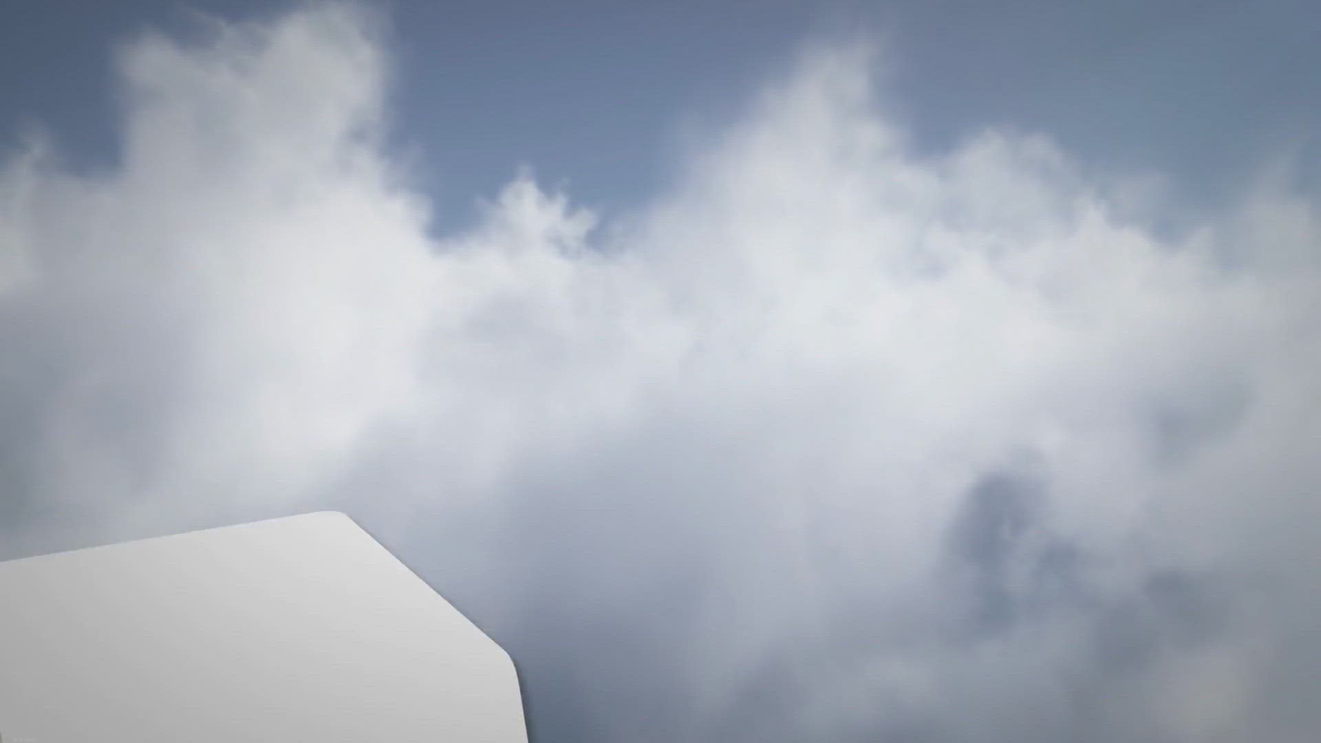 Video thumbnail for African Grey Parrots