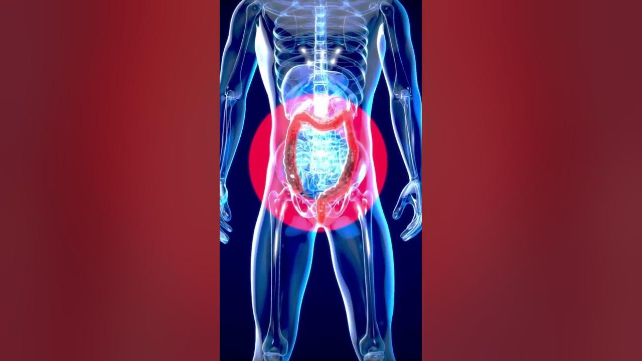 'Video thumbnail for The Benefits of Glutamine: From Gut Health to Muscle Growth #shorts'