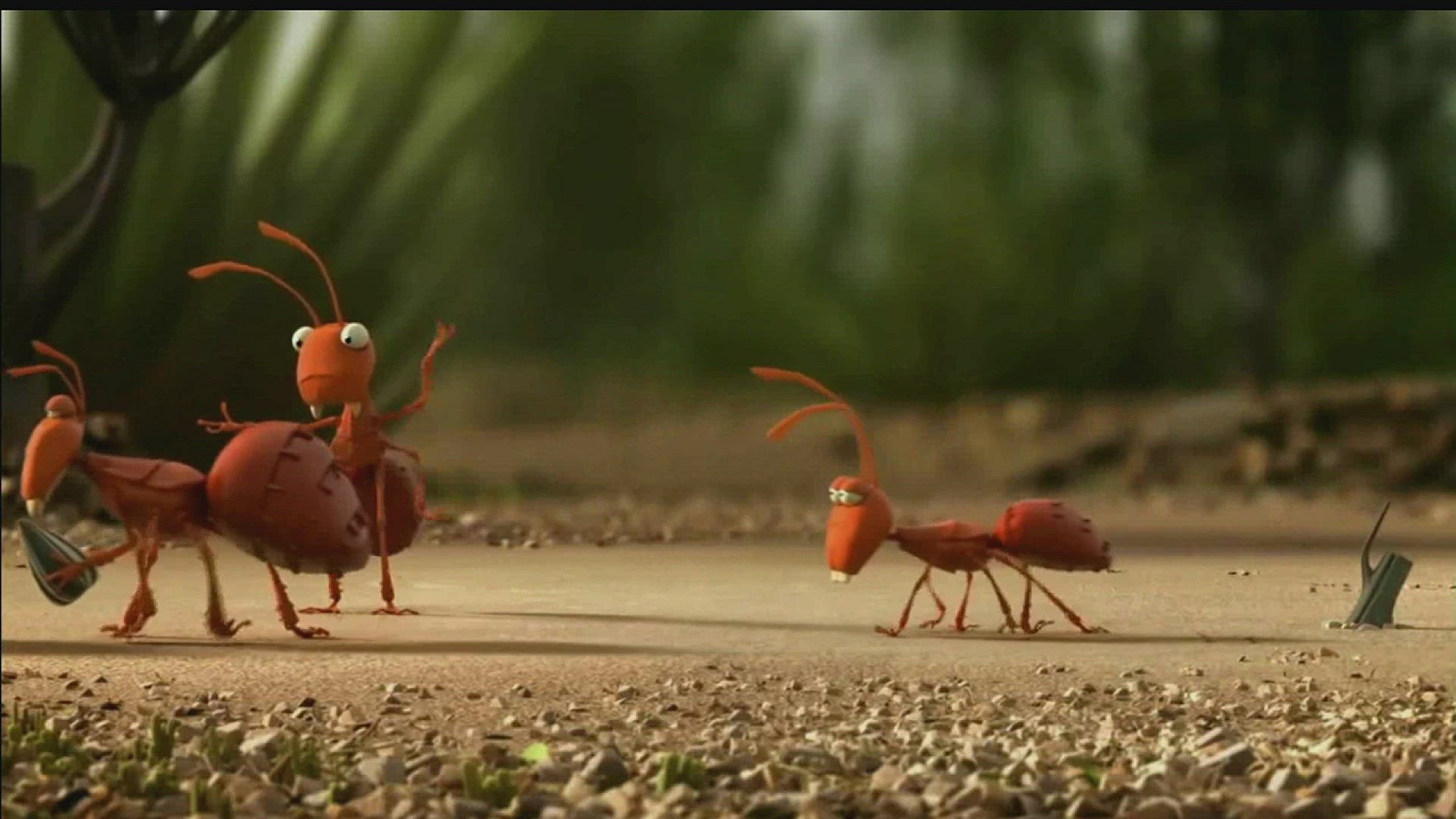 Video thumbnail for Welcome to EnviroMom!