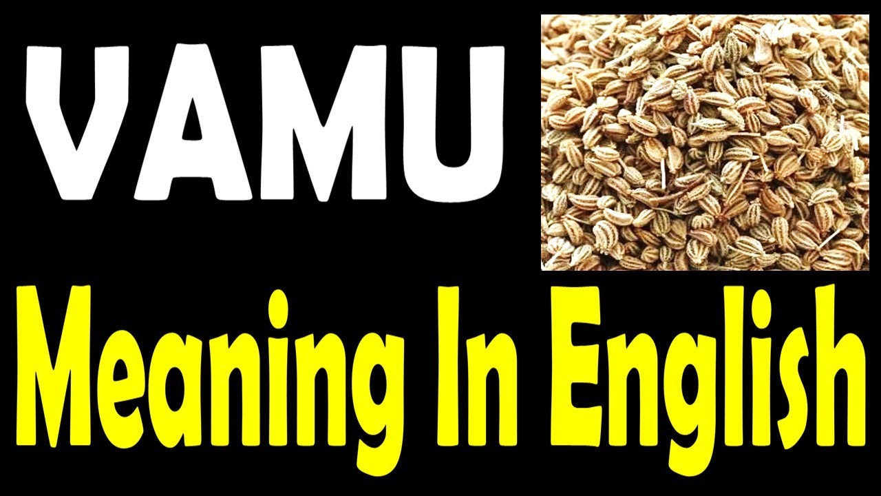 Video thumbnail for Vamu in English | Vamu Scintific Name and Meaning (Telugu)