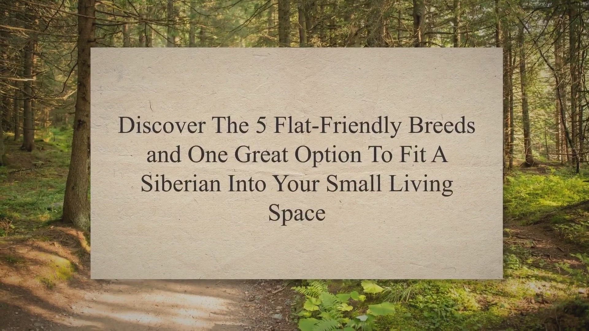 Video thumbnail for How To Raise A Husky Puppy In An Apartment? Discover The 5 Flat-Friendly Breeds and One Great Option To Fit A Siberian Into Your Small Living Space