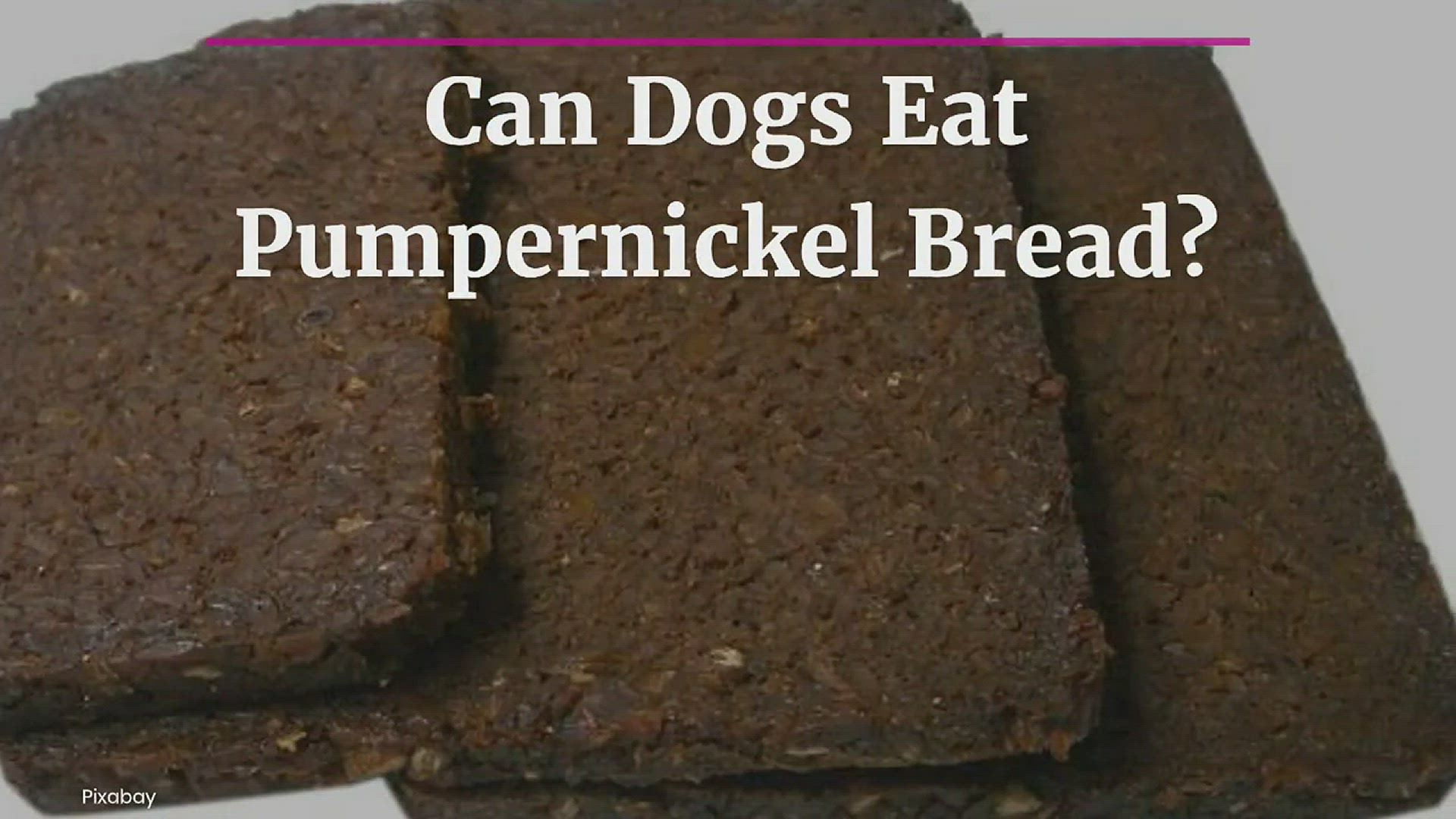 Video thumbnail for Can Dogs Eat Pumpernickel Bread? 3 Risks You Should Know About