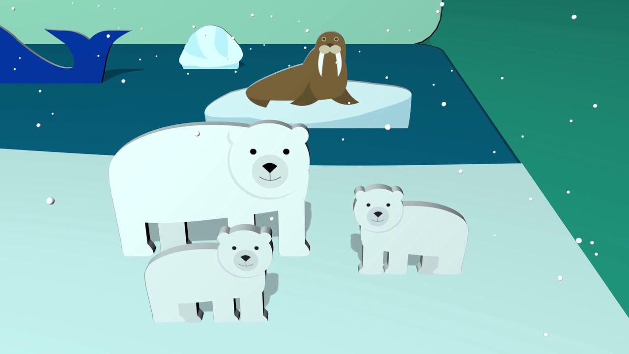 Video thumbnail for EL BUHO BOO - Animales del Ártico.