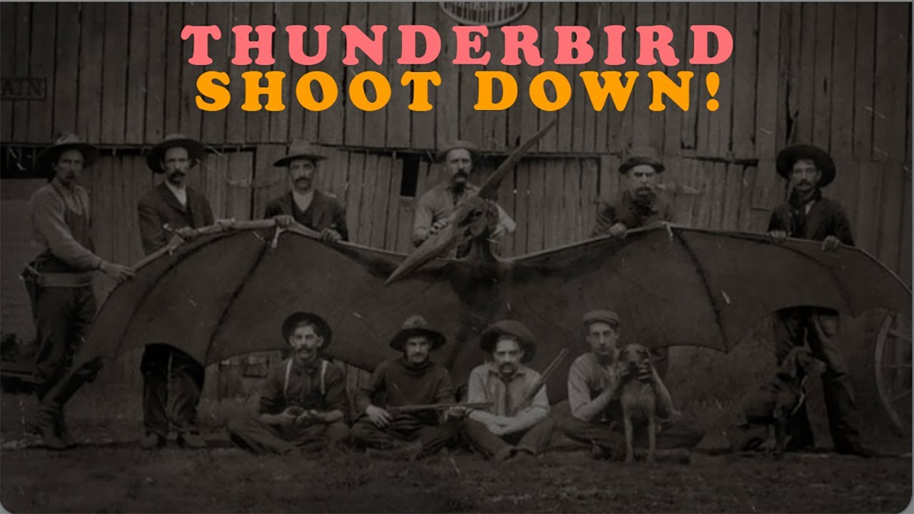 Video thumbnail for In Arizona, 1890, did ranchers shoot down a Thunderbird?