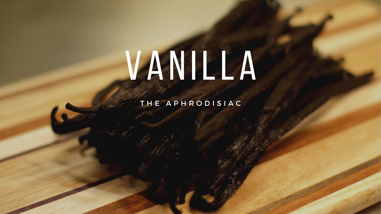 Video thumbnail for The Love Bean: Vanilla the Sweet Aphrodisiac
