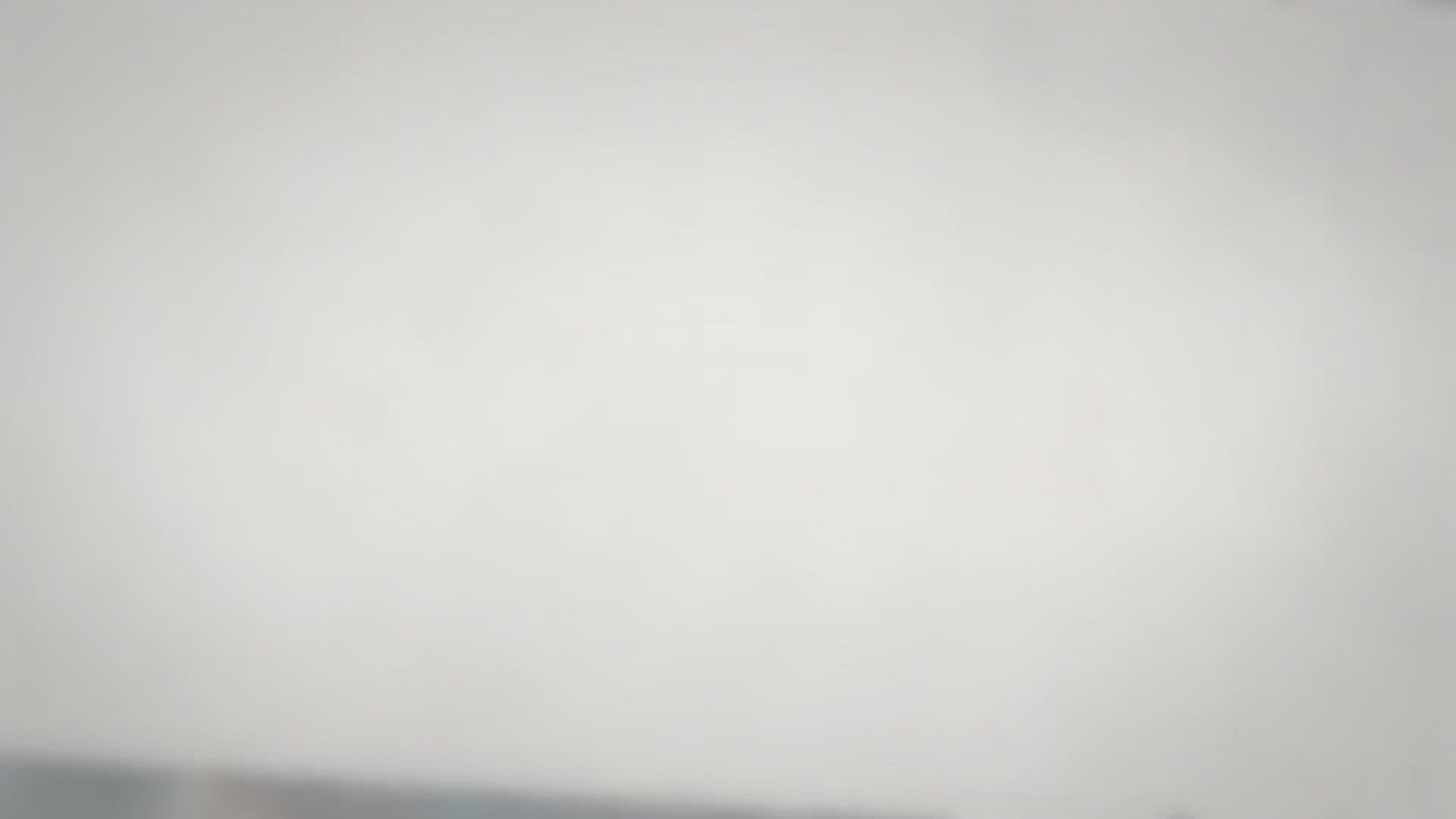 Video thumbnail for Top 5 Fastest Dog Breeds