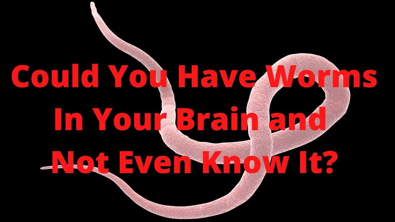 'Video thumbnail for Could You Have Worms in Your Brain and Not Even Know It'