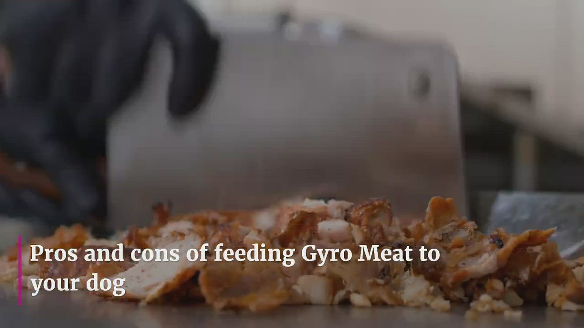 Video thumbnail for Can Dogs Eat Gyro Meat? Pros and Cons of Feeding Gyro Meat to Your Dog