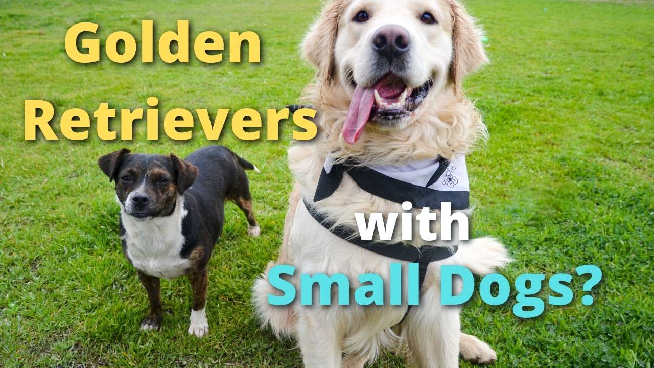 'Video playlist thumbnail'