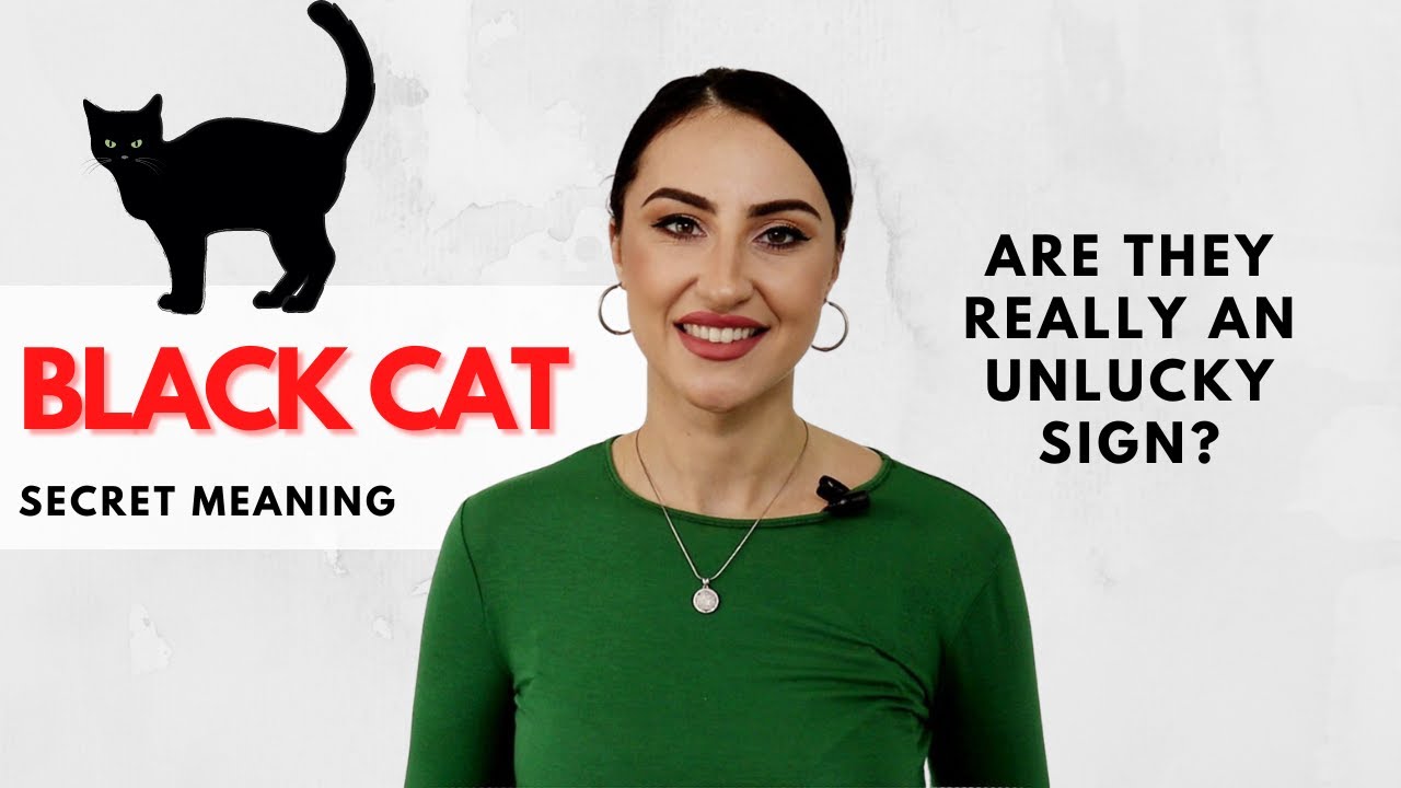 Video thumbnail for Black Cat Symbolism - Are They Really an Unlucky Sign?