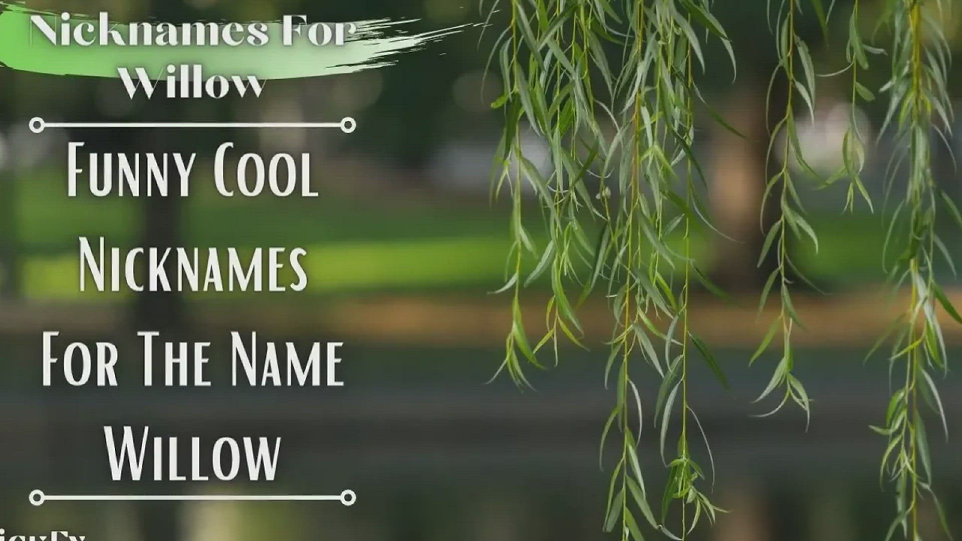 'Video thumbnail for Nicknames For Willow | 65+ Funny Cute Nicknames For Name Willow'
