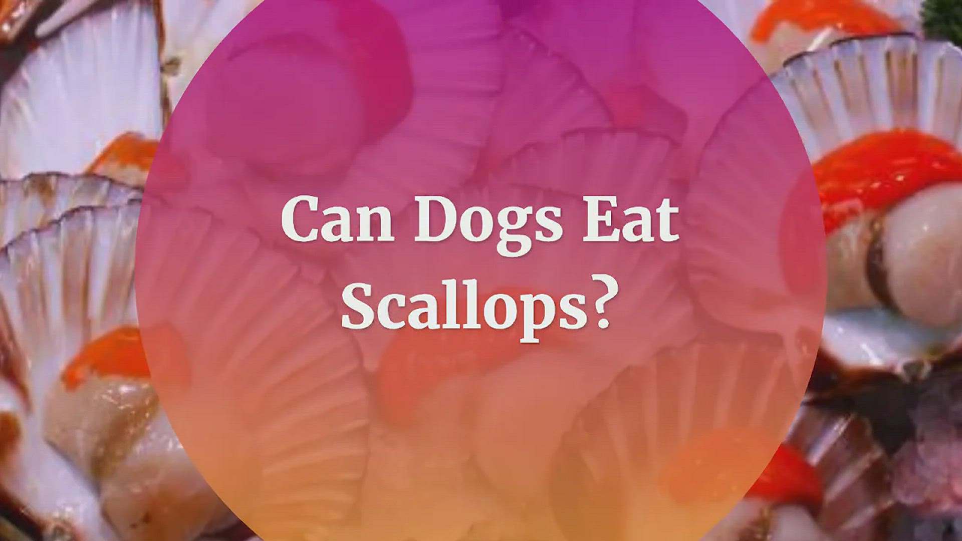 Video thumbnail for Can Dogs Eat Scallops? Risks and Benefits of Scallops