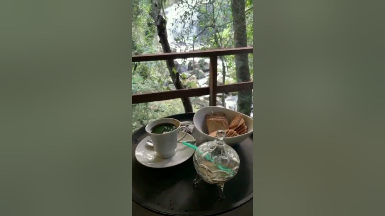 Video thumbnail for Coffee with a waterfall view | Knuckles Mountain Range |Treehouse Cottage In Sri Lanka #shorts