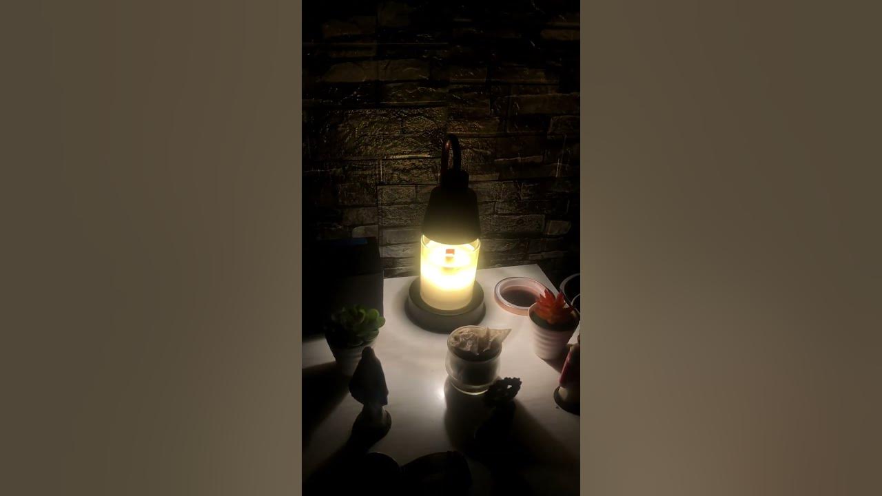 Video thumbnail for Say Hello to My Shih Tzu and Lamps 🐶🐾🕯️