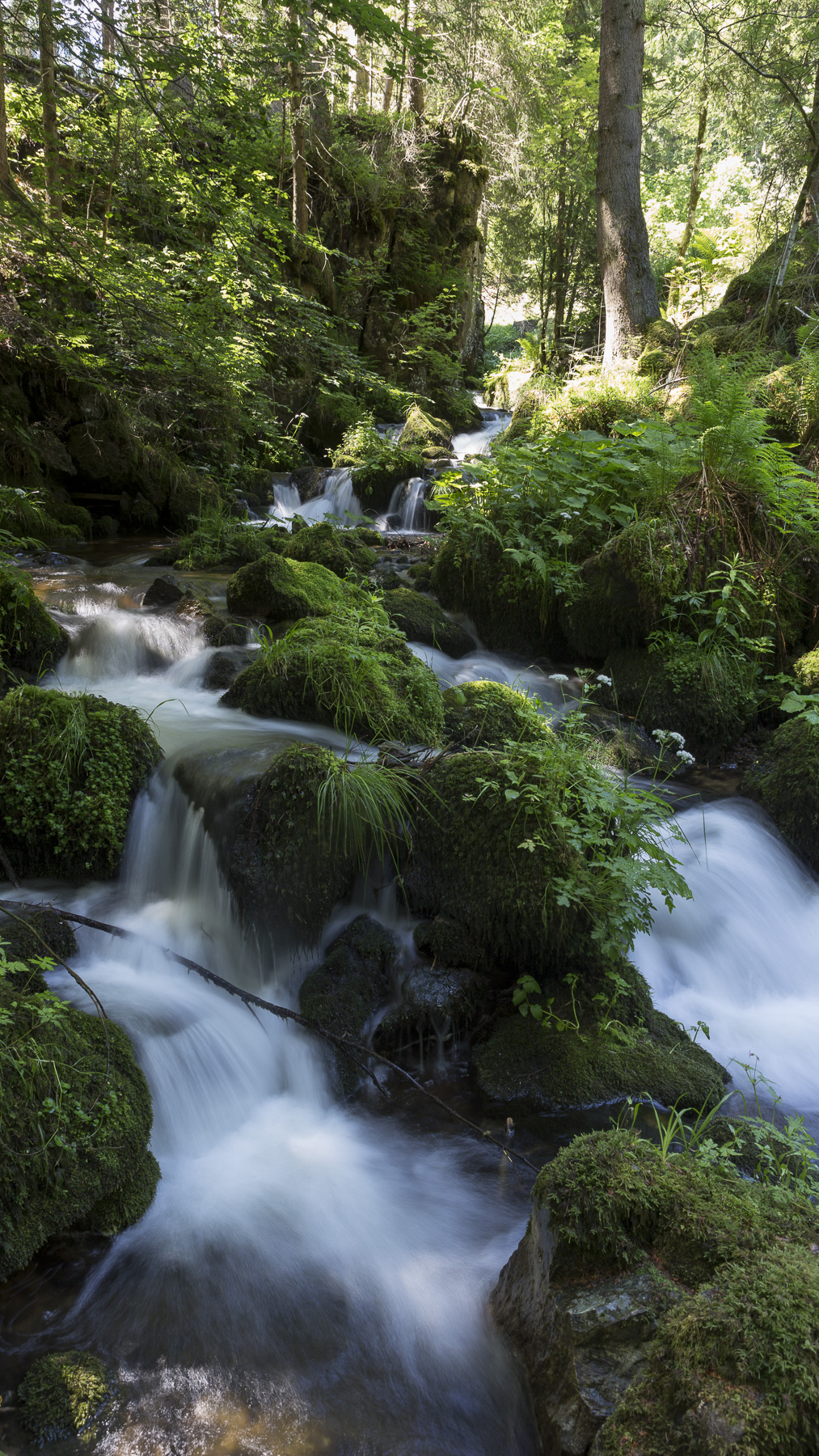 'Video thumbnail for Buselbach-Wasserfälle im Hochschwarzwald'