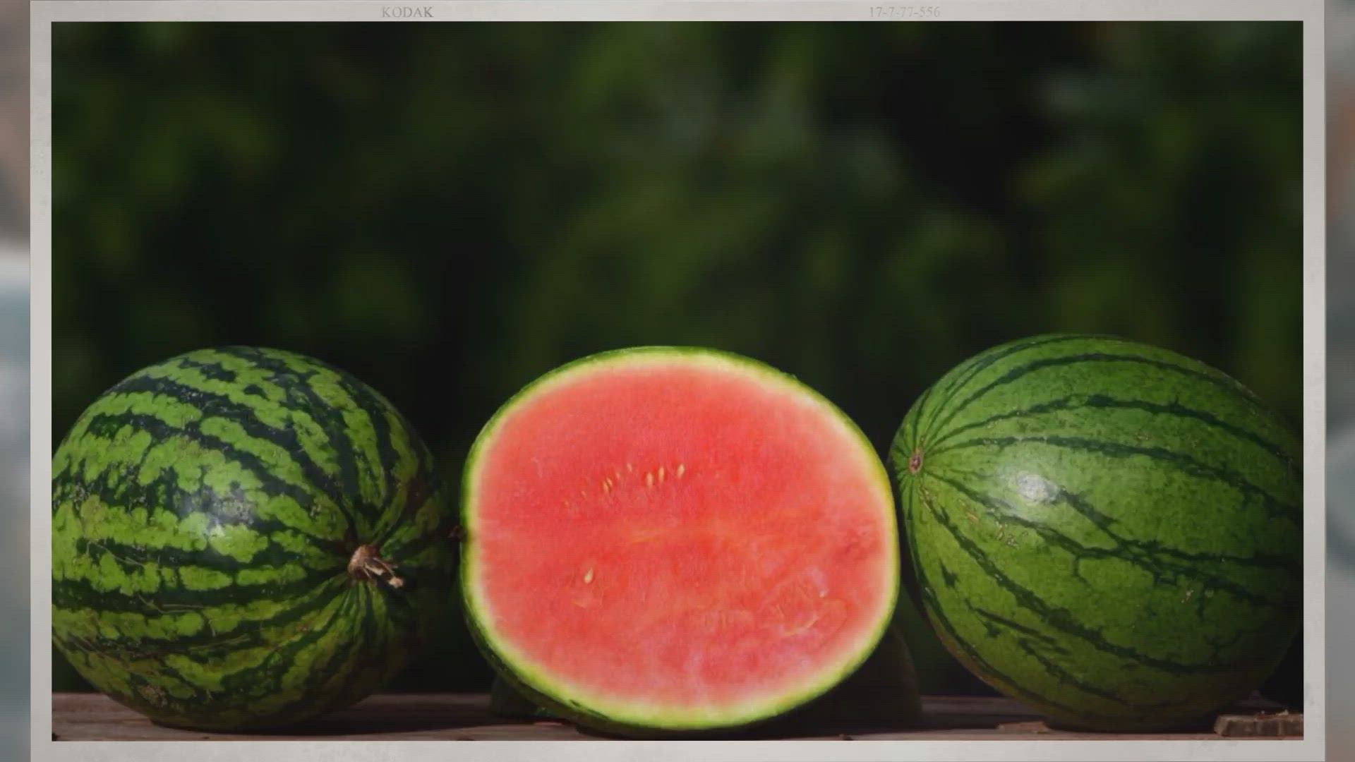 Video thumbnail for Do Watermelons Ripen After Picking Them off the Vine?