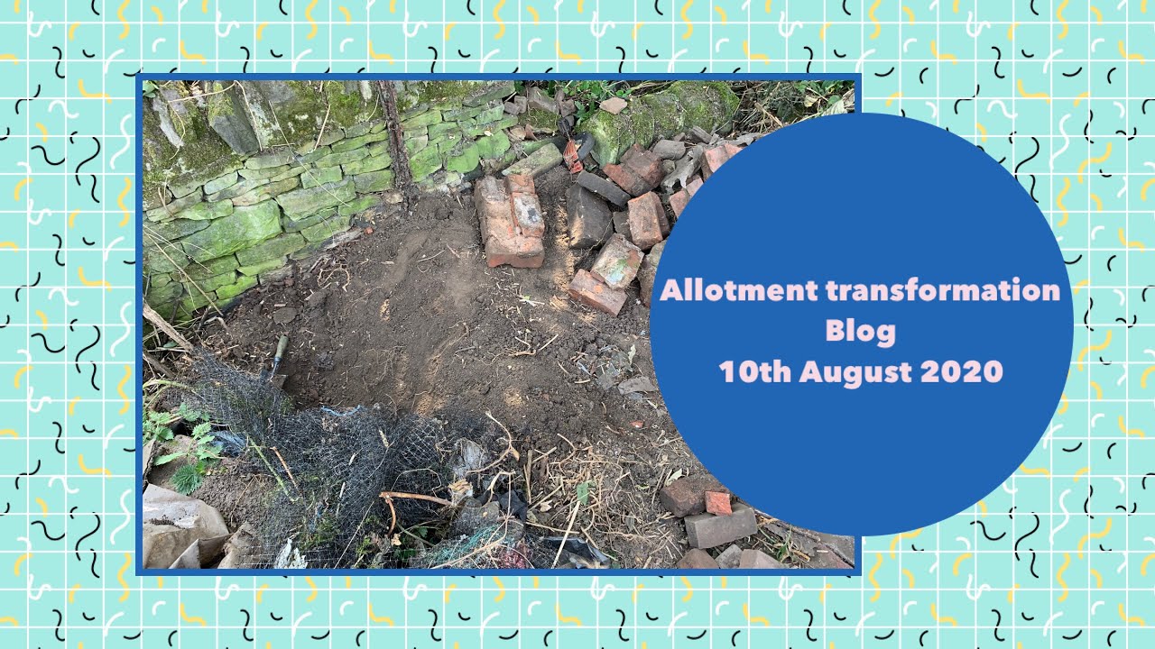 Video thumbnail for 🎥 ✅ Allotment Transformation 🌿✨ | Amazing Progress & Big Improvements – August 10th 2020 Update 🌱🏡