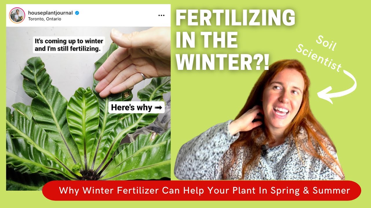 Video thumbnail for Should You Fertilize Houseplants In The Winter? The Science Of Fertilizing For Faster Summer Growth.