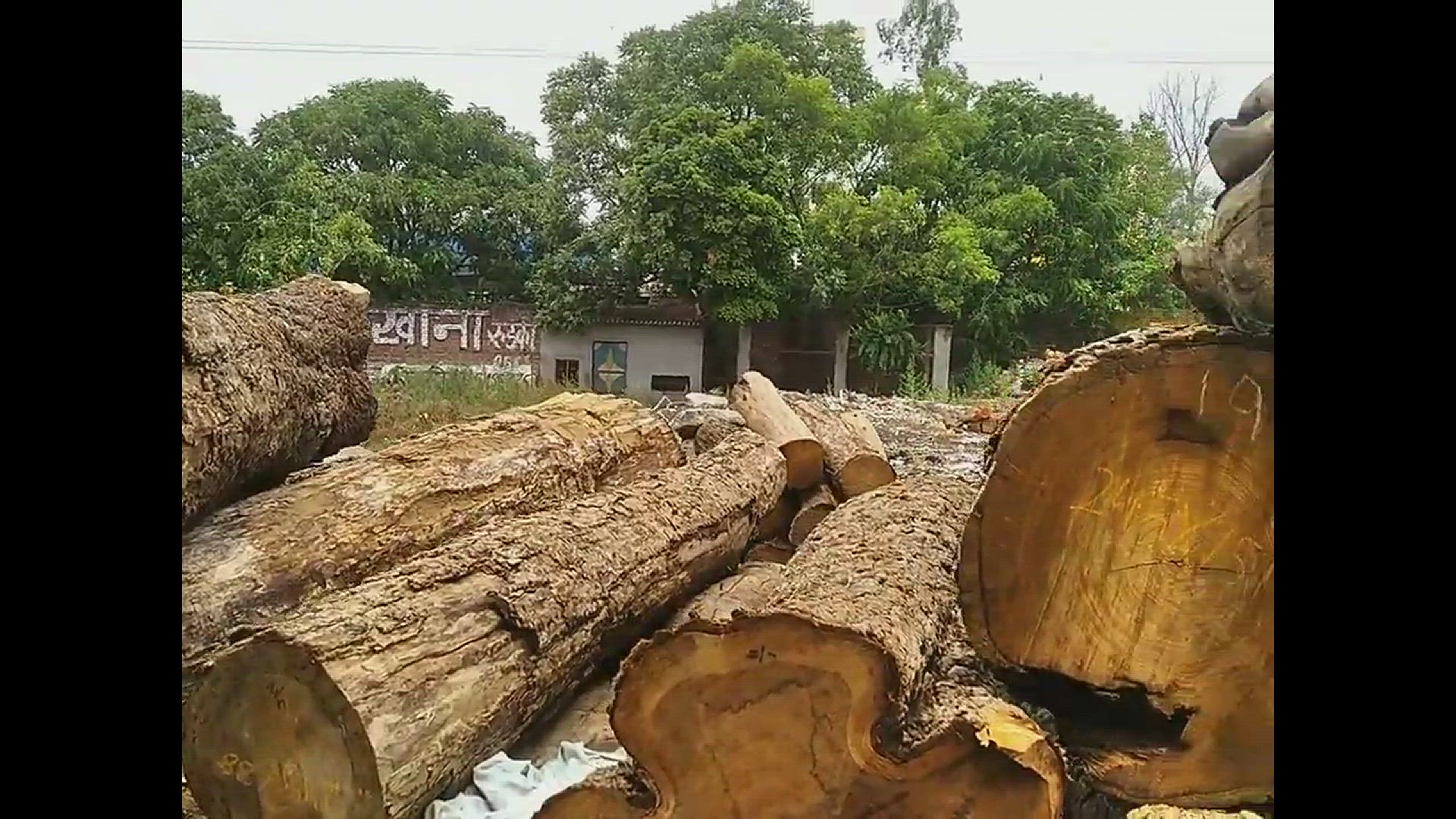 Video thumbnail for How and where to sell teak wood with permission