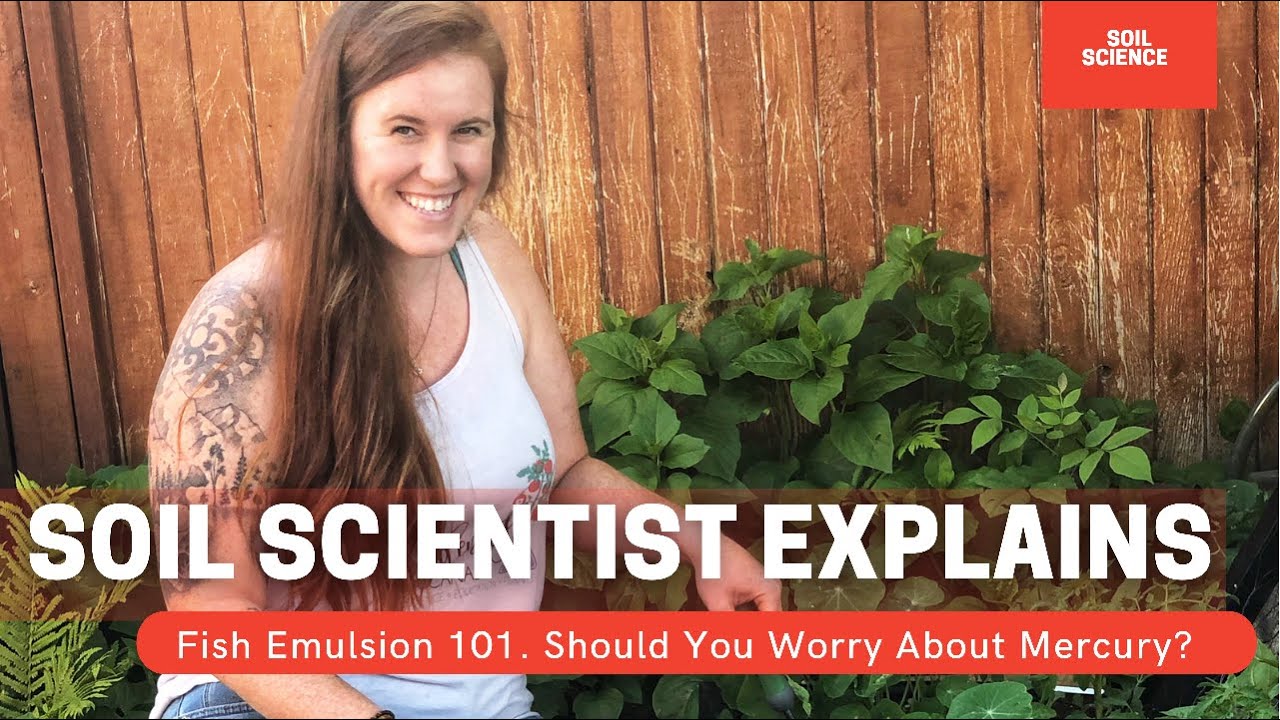Video thumbnail for Is Fish Fertilizer Good For Plants? Is Fish Emulsion A Complete Fertilizer? Soil Scientist Explains