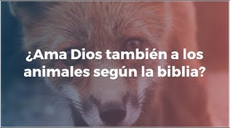 Video thumbnail for ¿Ama dios también a los animales?