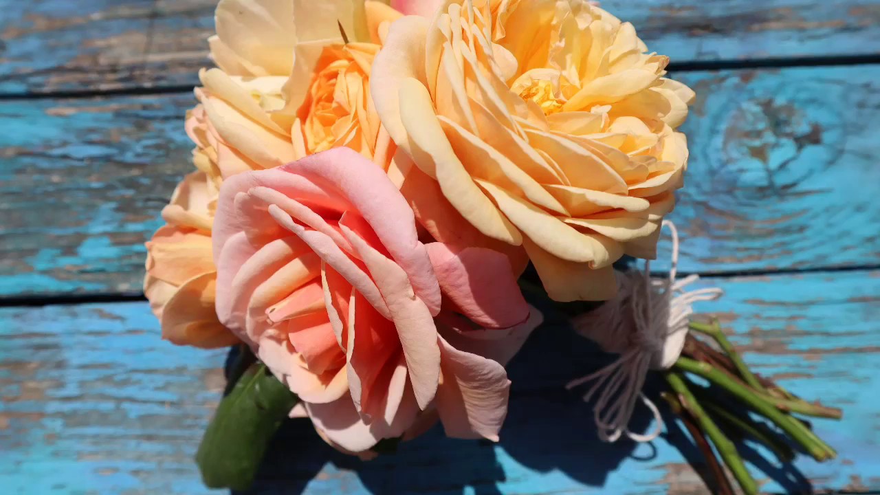 video of: How to create a simple rose bouquet