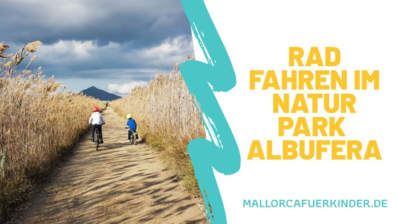 Video thumbnail for Radfahren im Naturpark Albufera