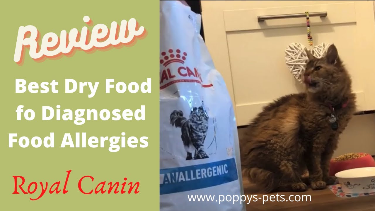 'Video thumbnail for Royal Canin Hypoallergenic & Anallergenic Dry Biscuits'