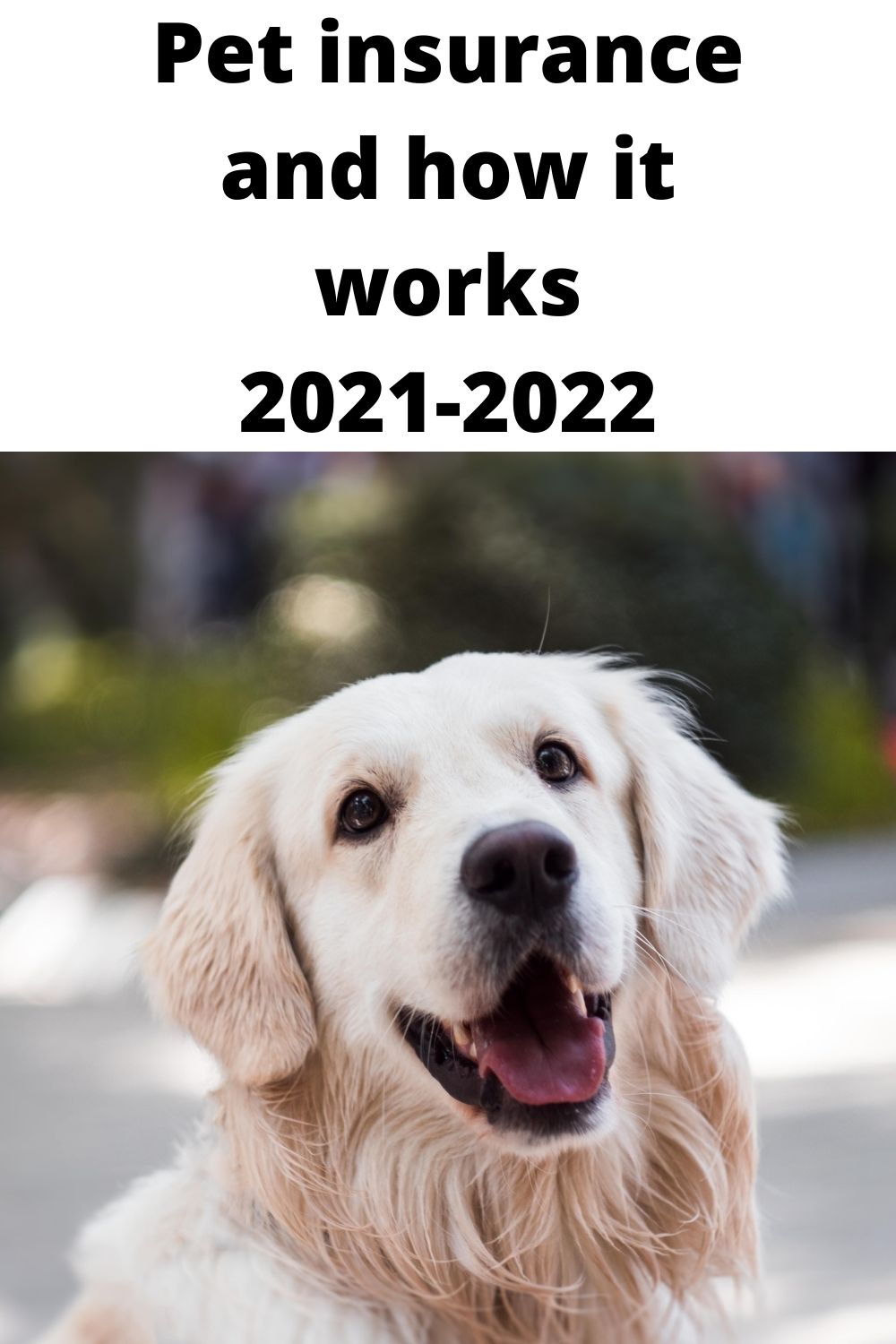 Video thumbnail for Pet insurance how it works and benefits