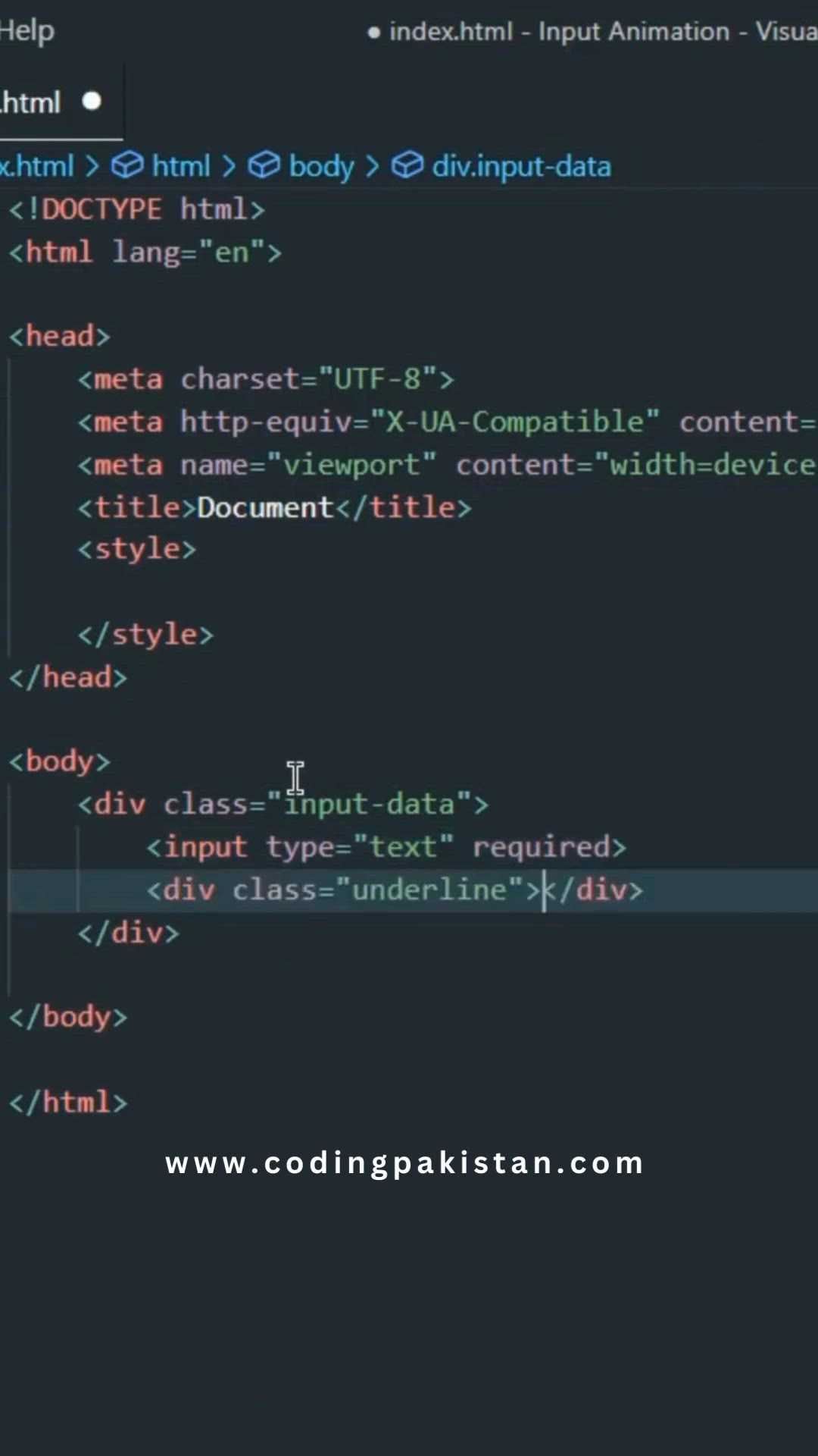 'Video thumbnail for How To Make Input Animation  Html Css'