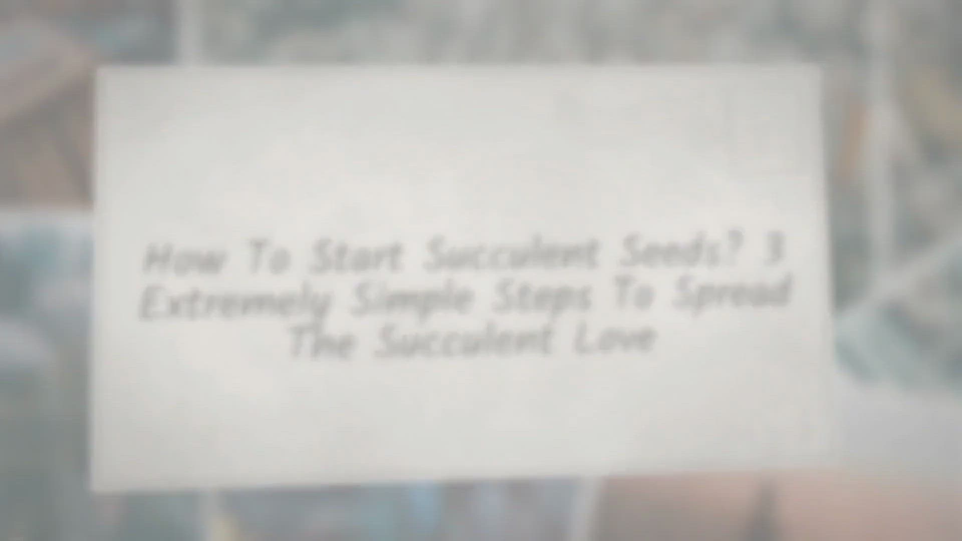 Video thumbnail for How To Start Succulent Seeds? 3 Extremely Simple Steps To Spread The Succulent Love