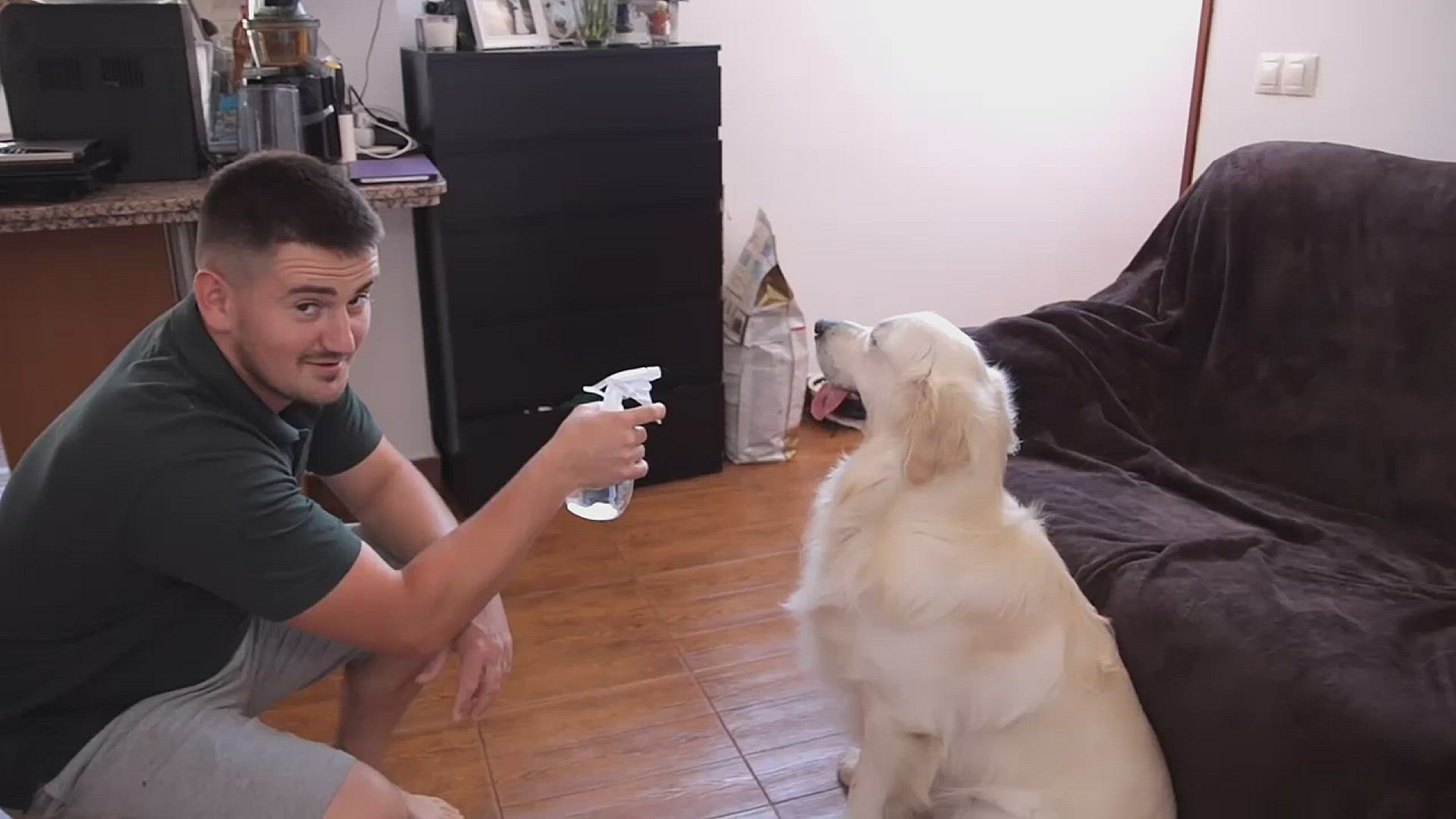 Video thumbnail for Dog Funny Video